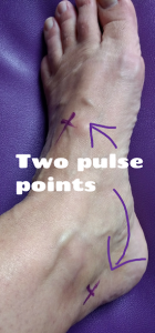 Pulse points in the feet